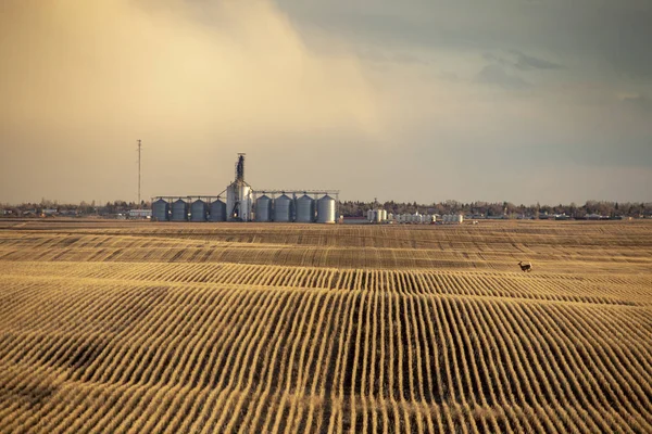 Prairie fırtına bulutları