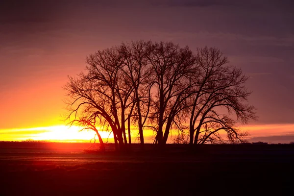 Prairie Sunset Canadá — Foto de Stock