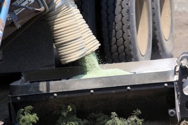 Saskatchewan 'da tohumlama