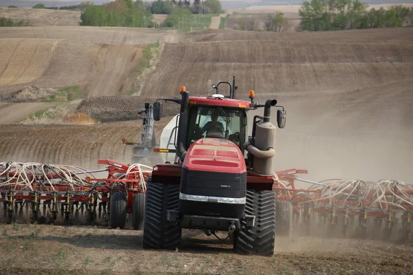 Sementes em Saskatchewan — Fotografia de Stock