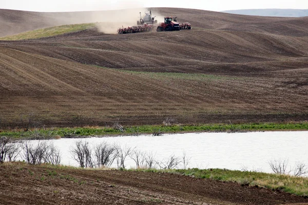 Semina in Saskatchewan — Foto Stock