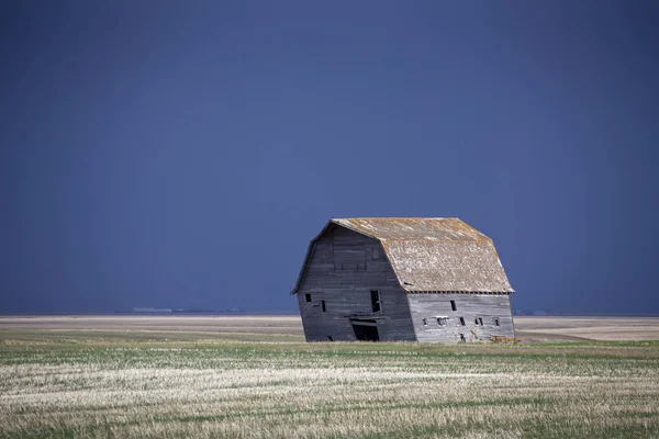Prairie vi — 스톡 사진