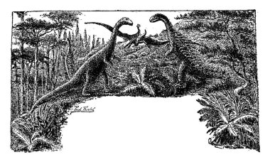 Jurassic dönem dev kertenkeleler, saltanatı illüstrasyon vintage kazınmış. Adam 1886 önce toprak. 