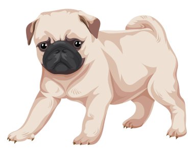 Vektör çizim pug köpek.