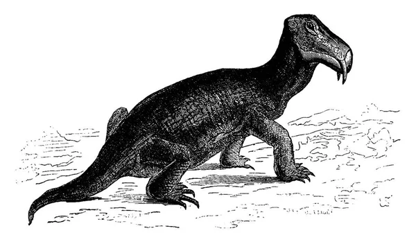 ディキノドン類、爬虫類で、三畳紀時代 (南アフリカ)、v — ストックベクタ