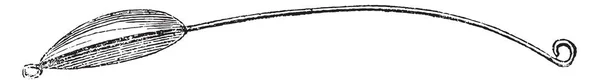 车削铅 老式刻的图 玛佳欣 Pittoresque 1876 — 图库矢量图片