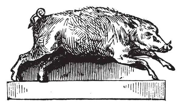 イノシシ ヴィンテージには 図が刻まれています マガシンドス Pittoresque 1852 — ストックベクタ