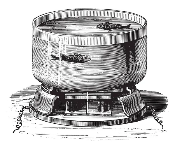 魔法の魚 ヴィンテージには 図が刻まれています マガシンドス Pittoresque 1880 — ストックベクタ