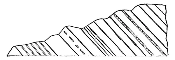 白亜紀の土地セクション ビンテージ彫刻. — ストックベクタ