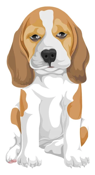 Vector Illustration Dog — Stock Vector