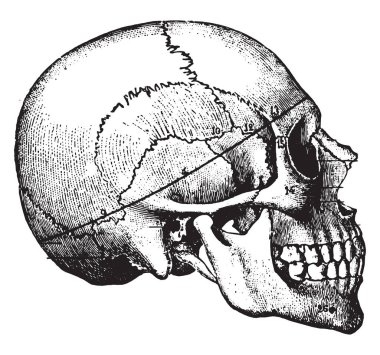 Çevresel testere-kesim tüm medicolegal durumda tercih edilen için