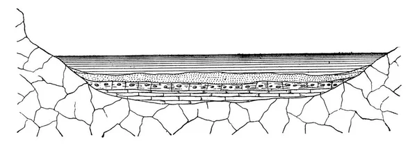 土地の堆積物の形成のモード ヴィンテージには 図が刻まれています 1886 前に地球 — ストックベクタ