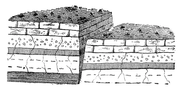 Fractura Seguida Una Gota Ilustración Grabada Vintage Tierra Antes Que — Archivo Imágenes Vectoriales