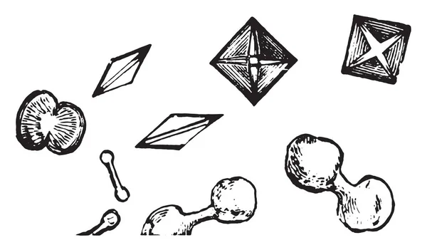 シュウ酸カルシウムの結晶をダンベルと Octadehdral ヴィンテージ刻まれた図 — ストックベクタ