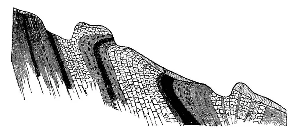 Position des veines de charbon dans la carrière de Fins, engra vintage — Image vectorielle