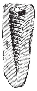 Cerite, vintage oyma.