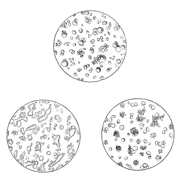 图3在显微镜下看到的牛奶 图4牛奶厂与小牛的大脑 图5牛奶的病牛 老式雕刻插图 Magasin Pittoresque 1867 — 图库矢量图片