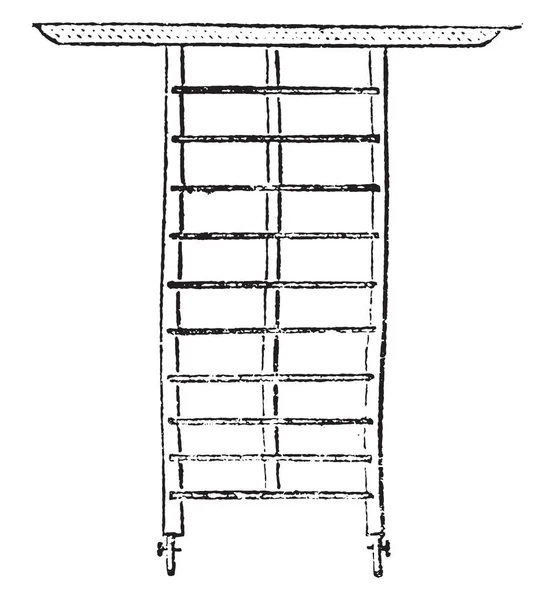 Vue Forme Plate Grande Échelle Dans Illustration Gravée Verticale Vintage — Image vectorielle