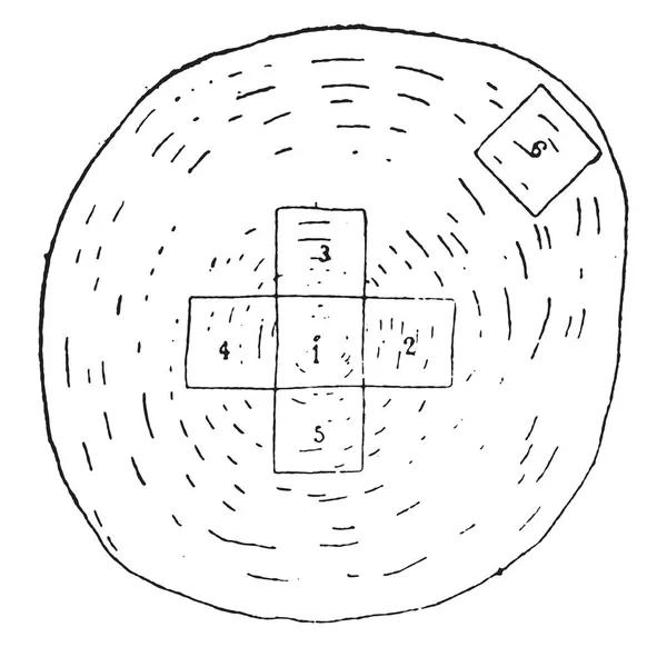 Emplacements des spécimens d'essai à prélever dans un grumes, engrenages millésimés — Image vectorielle