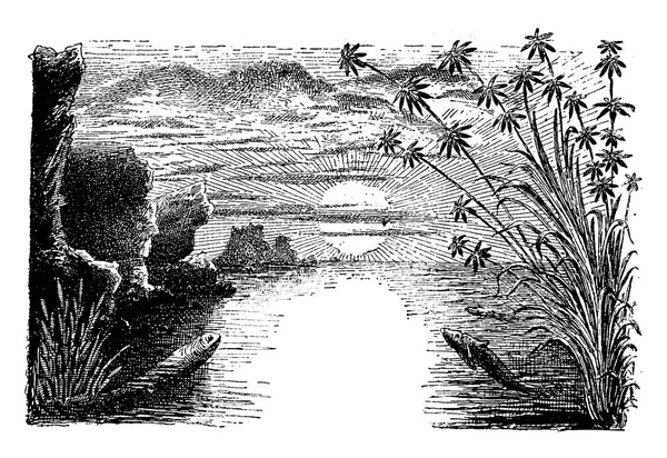 The Permian period, Amphibians and reptiles, vintage engraving. — ストックベクタ