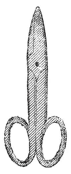 Schaar Bloemist Vintage Gegraveerd Illustratie Magasin Pittoresk 1882 — Stockvector