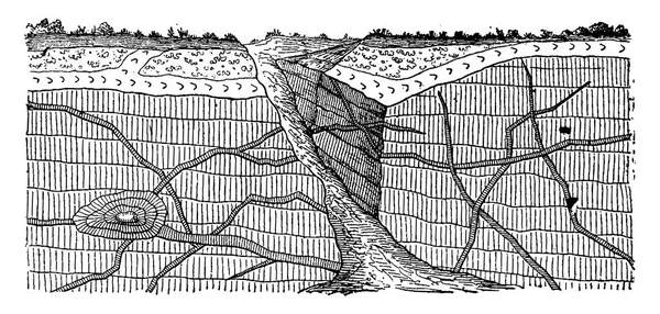 成層岩を例噴火静脈 ヴィンテージには 図が刻まれています 1886 前に地球 — ストックベクタ