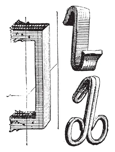 Clips Vintage Gegraveerd Illustratie Woordenboek Van Woorden Dingen Larive Fleury — Stockvector