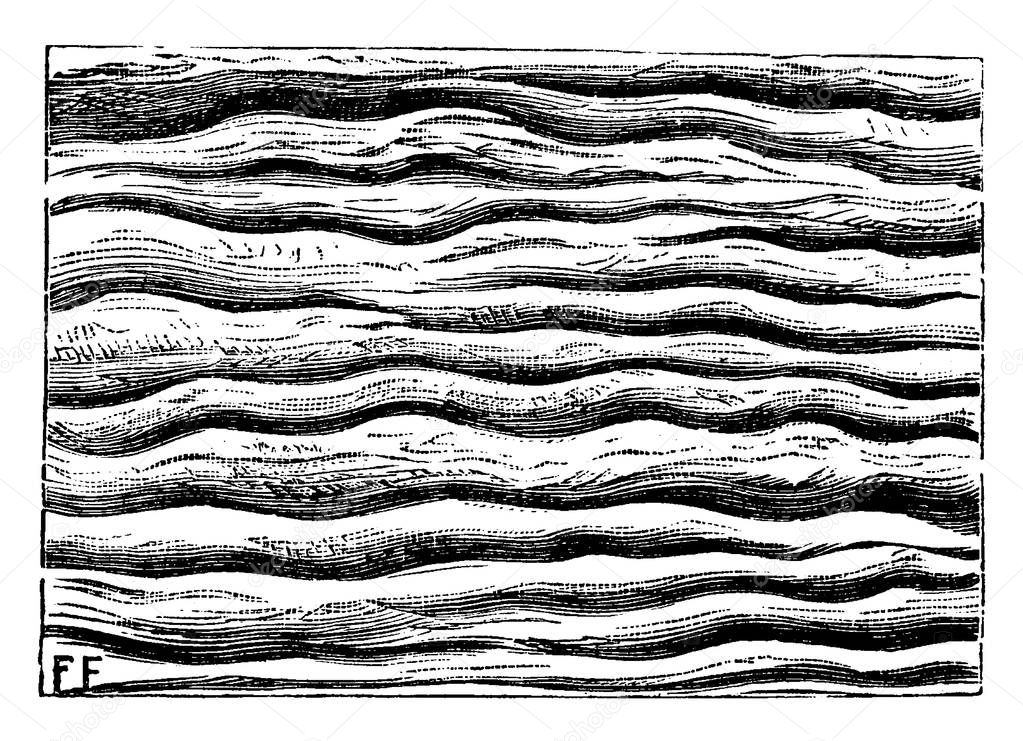 Ripples left by water and petrified, vintage engraved illustration. Earth before man  1886. 