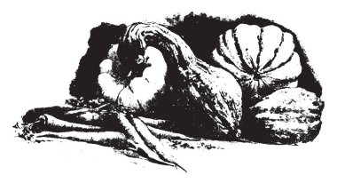 Bitkisel gıdalar demir, vintage oyulmuş şekilde zengin