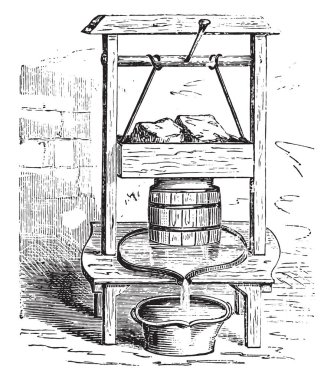 Bir peynir basın, vintage illüstrasyon kazınmış.