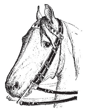 Flange, Snaffle esprisi, eski oyma resimler. Kelime ve eşyaların sözlüğü - Larive ve Fleury - 1895