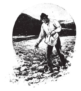 Hayat onları tohum bitki için büyümek yapar vintage oyma.