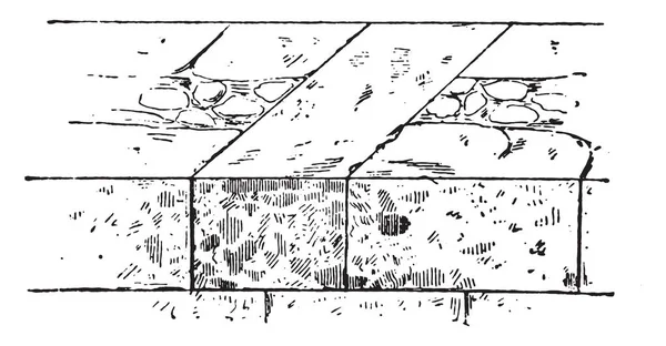 Nagłówek Vintage Grawerowane Ilustracja Słownik Słów Rzeczy Larive Fleury 1895 — Wektor stockowy