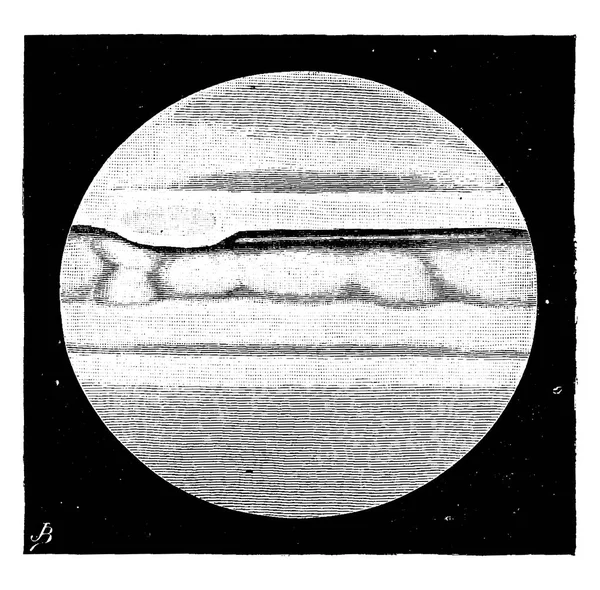 Jupiter Este Lume Geneza Ilustrație Gravată Epocă Pământul Înainte 1886 — Vector de stoc