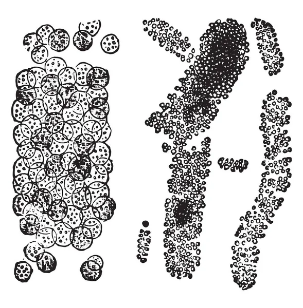 Cast Made Almost Purely Leukocytes Cast Composed Acid Sodic Urate — Stock Vector