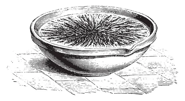 Cristales de sulfato de sodio, grabado vintage . — Archivo Imágenes Vectoriales