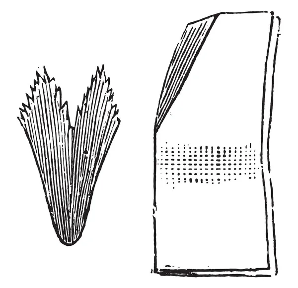 Вторинний спосіб складання фільтрувального паперу, вінтажне гравіювання . — стоковий вектор