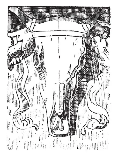 Букраниум, винтажная гравировка . — стоковый вектор