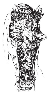 Namlu, vintage şekil kazınmış. Sözlük kelimeler ve şeyler - larive ve fleury - 1895