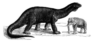 Atlantosaurus, en büyük hayvanlar hiç biri yok, vintage engrav