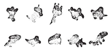 Bir kurbağa lökosit, vintage illüstrasyon kazınmış.