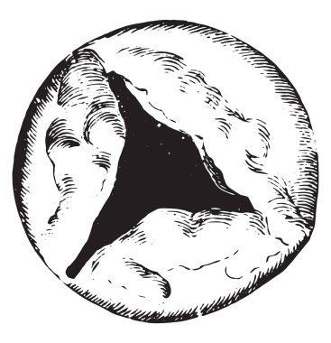 Yapışık ve kalınlaşmış Vana broşürler, vintage oyma.