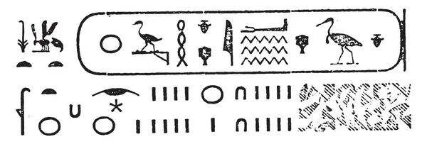 Hiëroglifisch Schrijven Vintage Gegraveerde Afbeelding Magasin Pittoresk 1857 — Stockvector