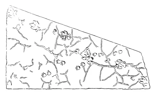 Следы Ископаемых Животных Рельефе Каменоломнях Каменоломен Гессберга Саксония Старинная Гравированная — стоковый вектор