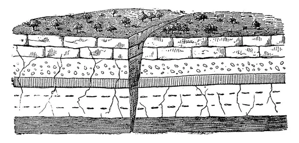 Приклад Простого Перелому Вінтажні Гравіровані Ілюстрації Земля Перед Людиною 1886 — стоковий вектор