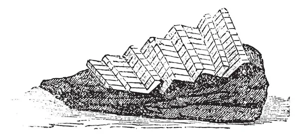 Grenadin 复古雕刻插图 — 图库矢量图片