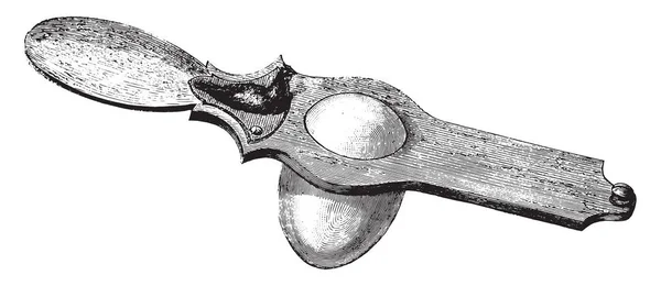 用于切割煮蛋壳的器具 复古刻插图 Magasin Pittoresque 1877 — 图库矢量图片