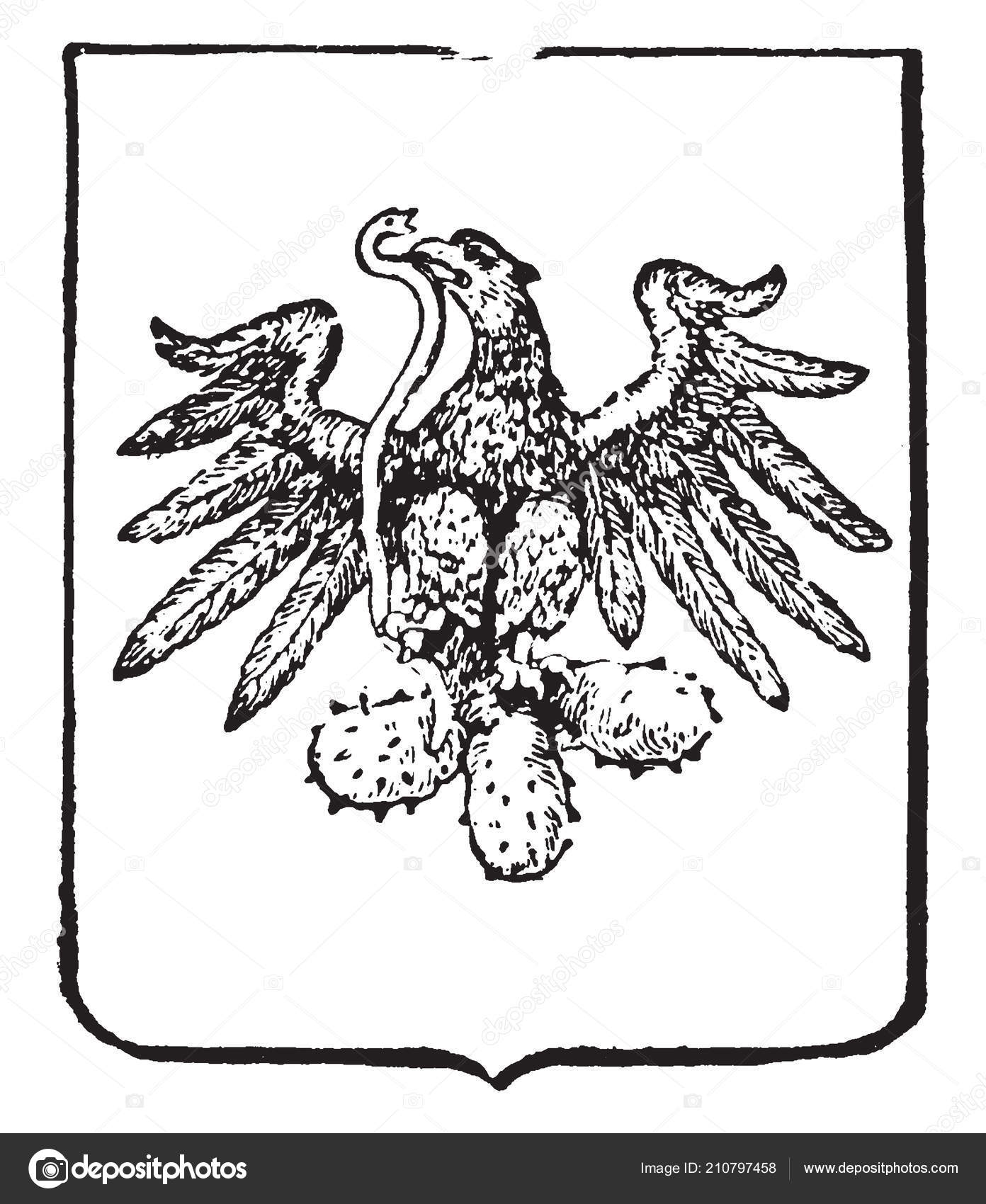 墨西哥徽章是南美洲外套复古线图画或雕刻例证图库矢量图©Morphart 210797458, image size:1392x1700