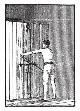 Resim tırmanma Bittersweet ruhlu bitki gösterir. Onlar sarı kapsül turuncu tohumları çevreleyen yaşıyorsanız. Personel-ağaç ve Pistillate, staminate çiçek ait. Yumuşak ince uzun, vintage çizgi çizme veya oyma illüstrasyon vardır.