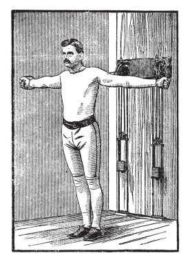 Ağırlık çekmek ve onun her iki silah düz, vintage çizim tutmak veya illüstrasyon oyma göğüs egzersiz yapan bir erkek.